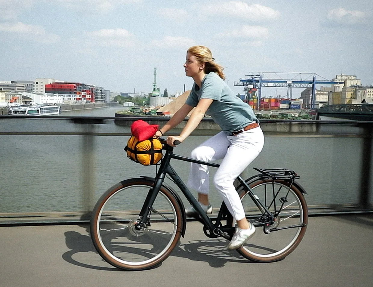 CargoMate Bike Rack
