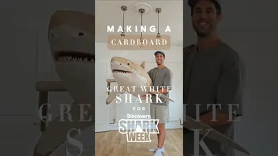 Making Cardboard Animals